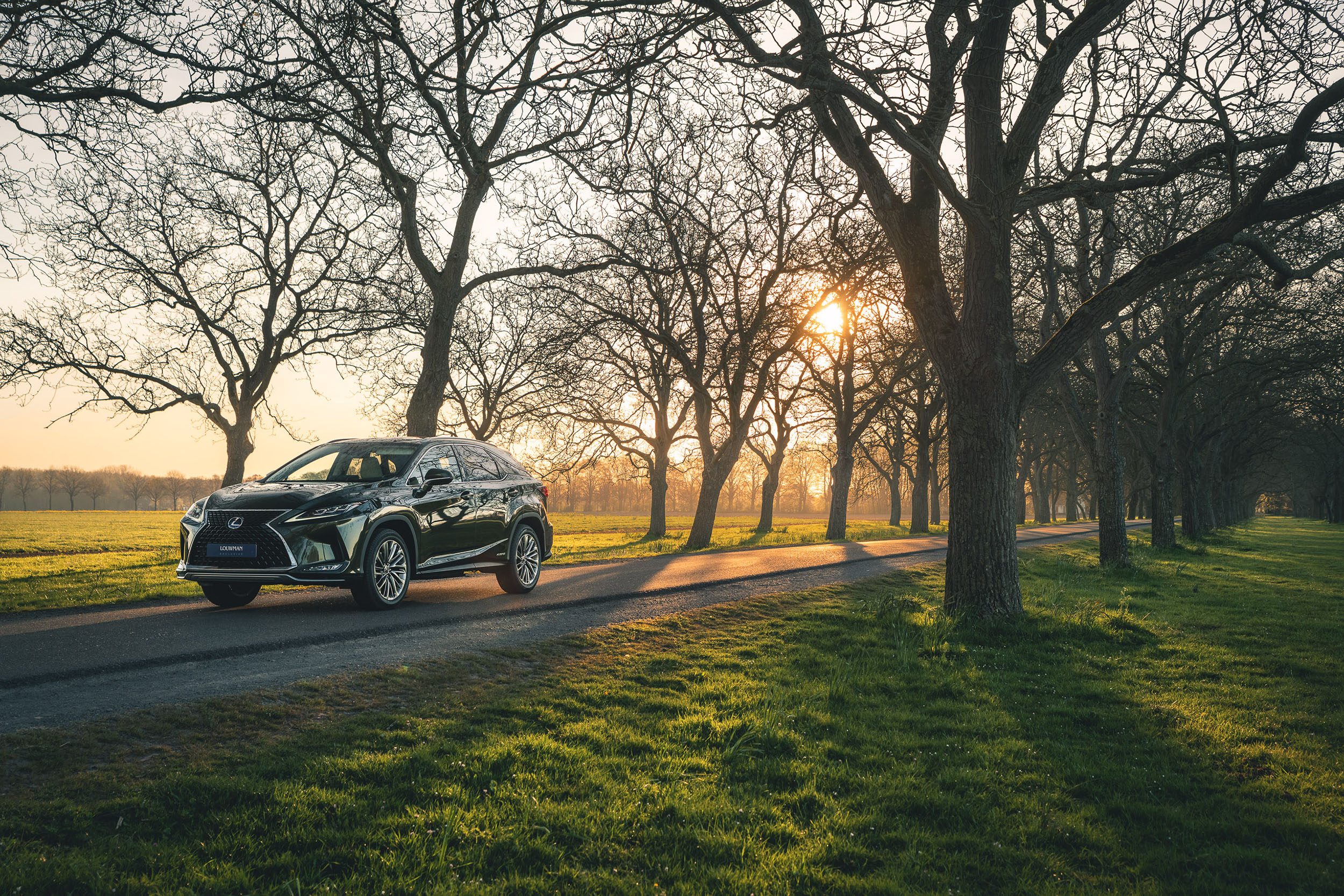 Lexus RX | Radiating Luxury | Ervaar het zelf bij Louwman Exclusive